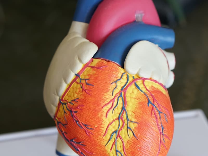 Geri Dönüşüm ve Döngüsel Ekonomi - Malzeme Geri Kazanımı Eğitimi - Çevre Yönetimi