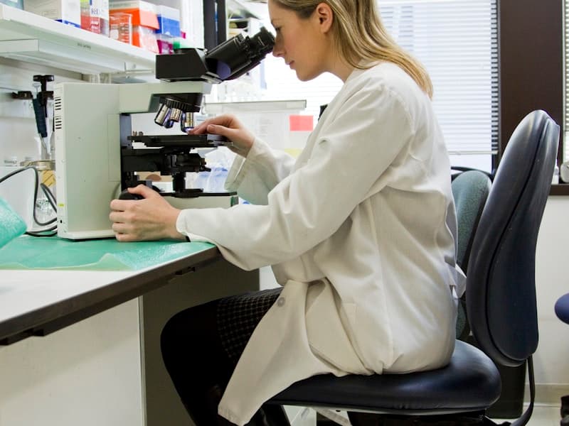 ISO 14001 Çevre Yönetim Sistemi - Çevre Yönetimi Temel Standardı Eğitimi - Çevre Yönetimi